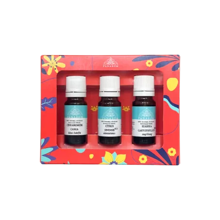 Spicy Christmas essential oil set